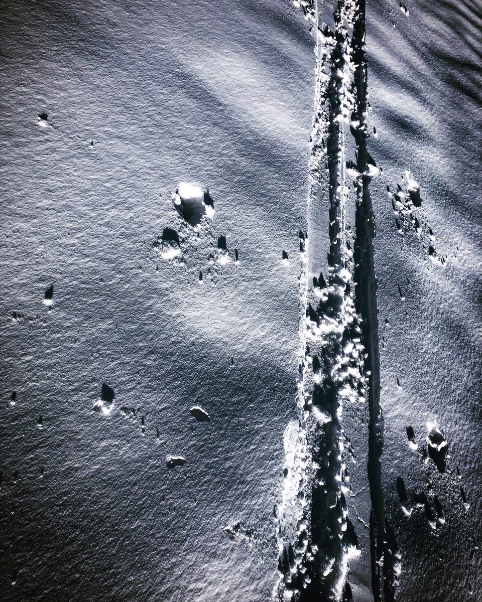 INSCRIPCIONS OBERTES!

63è Ral·li d'Esquí de muntanya del CEC
Val d’Aran
6 de març de 2022
Recorregut de llarga distància, inèdit, pels paratges més alpins dels Pirineus

rallicec.cat

#esquidemuntanya #skimo  #valdaran #catalunya #rallicec <a href="/cec_cat/">Centre Excursionista de Catalunya</a> <a href="/Pomoca_skins/">Pomoca </a>