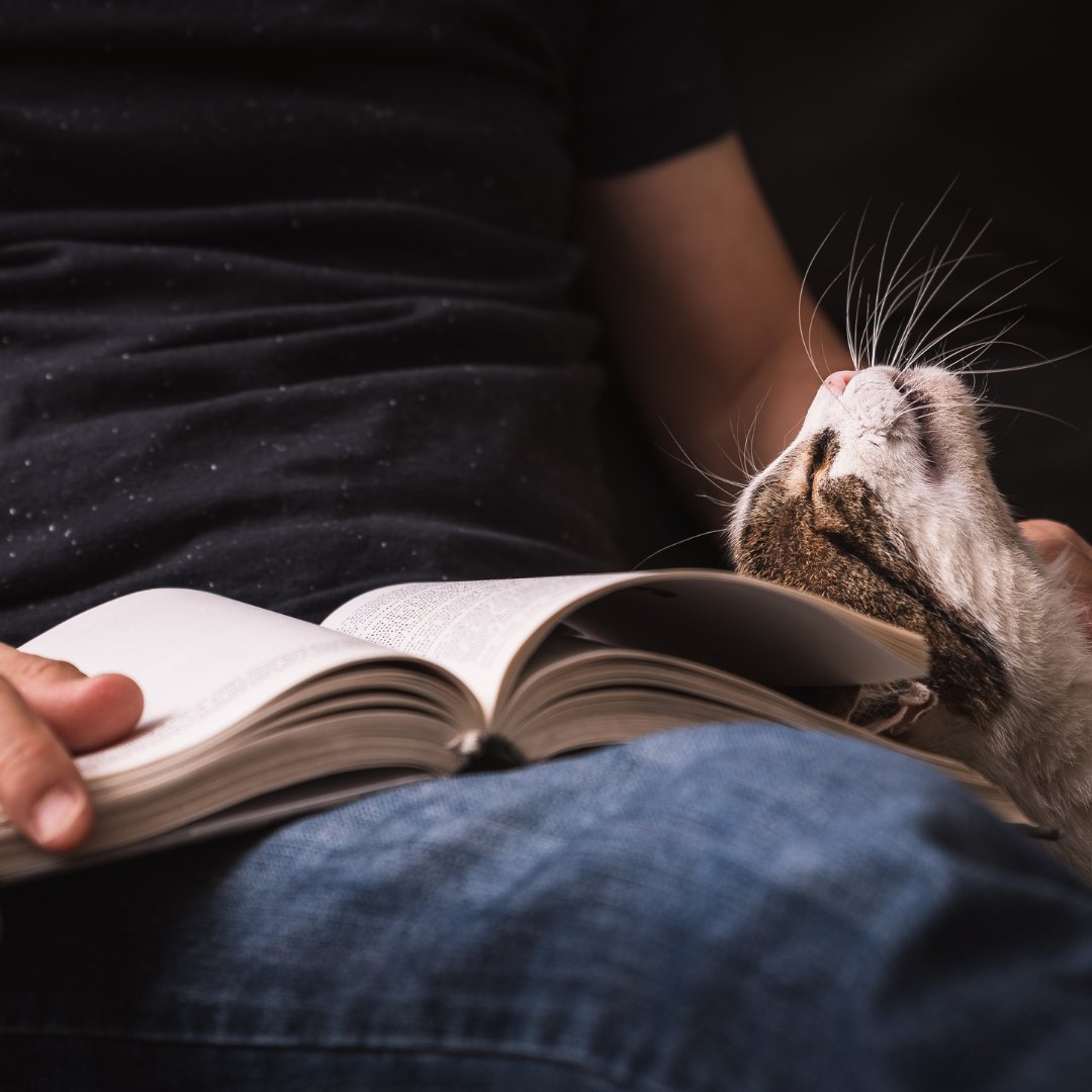 _VetStem_ (@_vetstem_) on Twitter photo “İnsanlar hakkında psikolojik romanlar yazmak istiyorsanız yapacağınız en iyi şey bir çift kedi edinmektir.” #AldousHuxley
Mutlu, sevgi dolu ve bol patili haftalar dileriz. 🤗🐾
•
#vetstem #cat #catlife #cats #kedi “İnsanlar hakkında psikolojik romanlar yazmak istiyorsanız yapacağınız en iyi şey bir çift kedi edinmektir.” #AldousHuxley
Mutlu, sevgi dolu ve bol patili haftalar dileriz. 🤗🐾
•
#vetstem #cat #catlife #cats #kedi