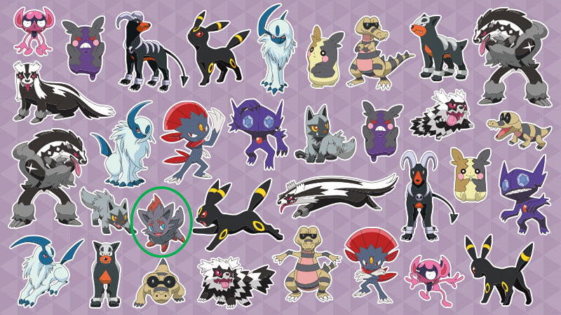 アニメ ポケットモンスター 公式 アニポケ ブレイク 1匹しかいないポケモンを探せ 正解発表 1匹しかいない ポケモンは ゾロア でした みなさんは何秒で見つけられましたか T Co Koohbhqwcz Twitter