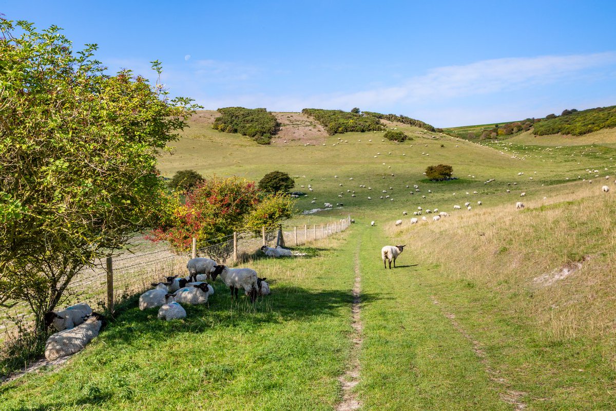 RuralSussex's tweet photo. AirS is happy to be a part of the @sussex_lnp  -  a coalition of about 30 organisations working together for the environment 

Congratulations to the them on launching the new website.  
https://t.co/uBNMYVrr4u

#snlp #ruralsussex #midsussex #westsussex #eastsussex #sussexlife https://t.co/l9LSFbBRoR