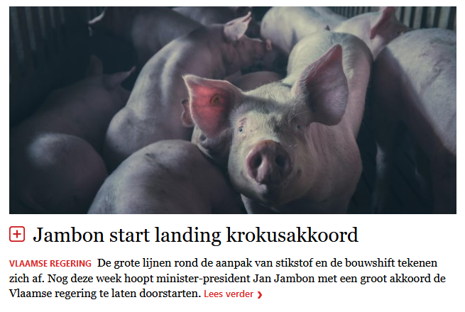 I see what you did there <a href="/destandaard/">De Standaard</a>.