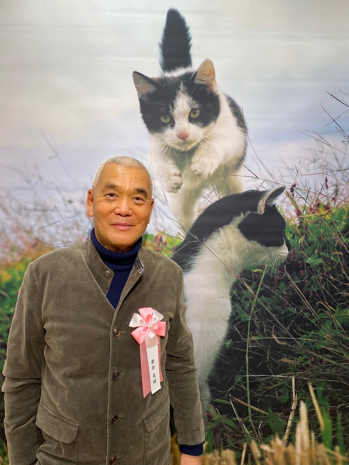 岩合光昭　世界ネコ歩き　23巻 岩合光昭 世界ネコ歩き 23巻 劇場版 岩合光昭の世界ネコ歩き (@