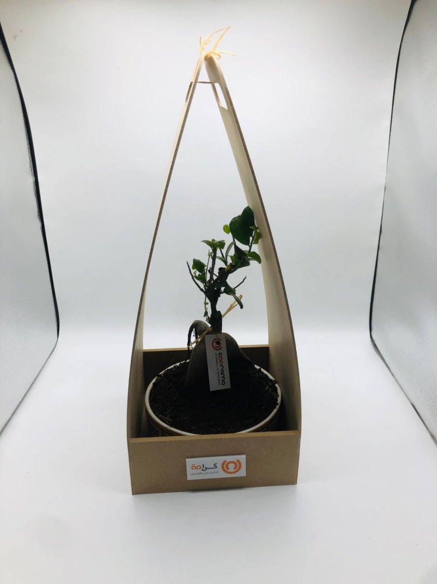 MaBoxAlger's tweet photo. Chez MaBox,on valorise les chutes de bois; la preuve !

Nos coffrets en bois sont des contenants anti-gaspillage et recyclés à base de chutes de bois nobles.

#écoresponsable #madeinbladi #algérie #dz #mabox #productionlocale #corporate #particuliers #gifts #startup https://t.co/Z2XrMhR8di