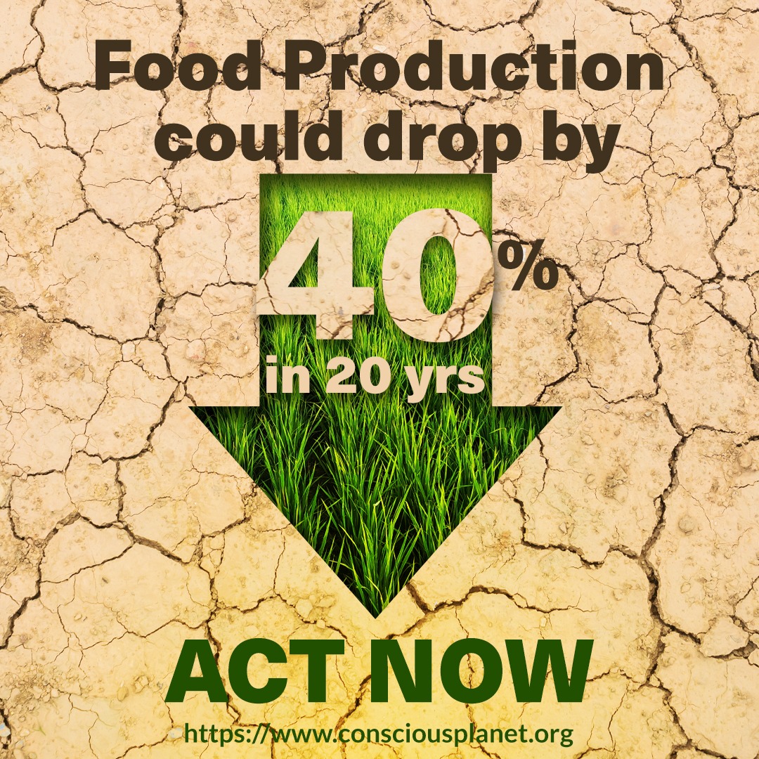 Shalini75383220's tweet image. Let's not sit back now....  Let's move towards the #ConsciousPlanet &amp;amp; #SavingSoil
youtu.be/kalp_iT6Zs4
#UNWFPtoSaveSoil