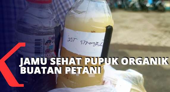 KompasTV's tweet photo. Jamu Sehat Pupuk Organik Buatan Petani https://t.co/1T0FYv8BK3 https://t.co/NIX0nKzlon