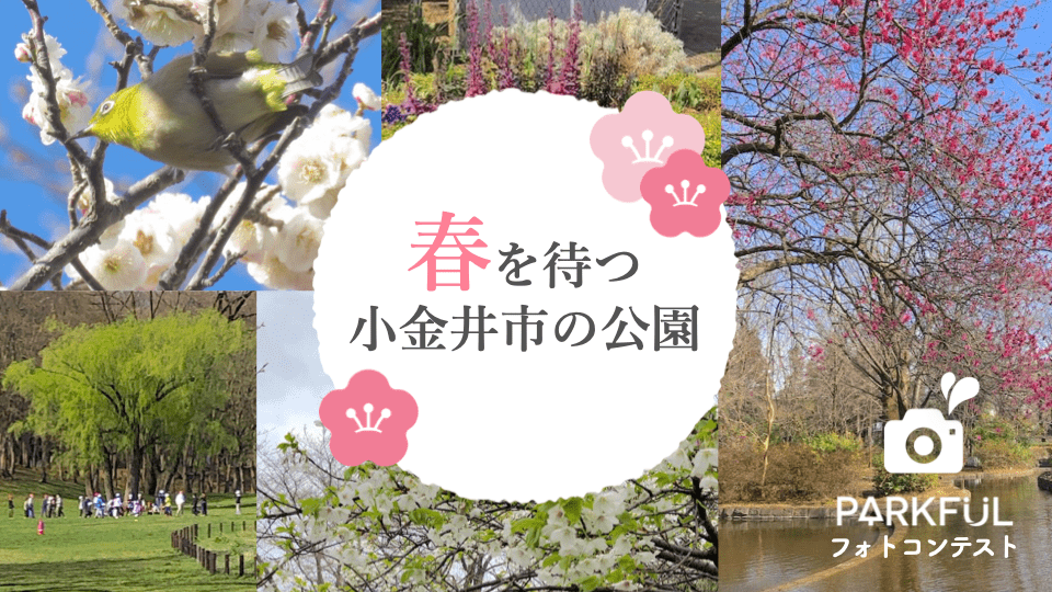 小金井市観光まちおこし協会 公式 Koganeikanko Twitter