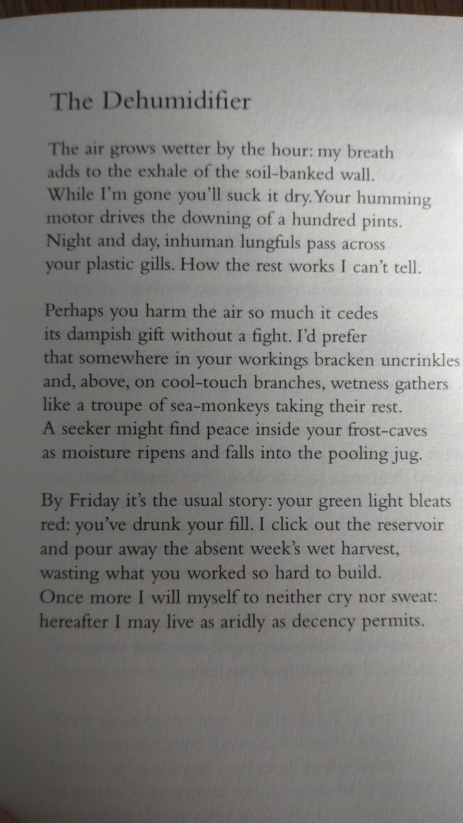 This is my current favourite by @JudyBrown__   I wish I could write as richly about something so mundane. She makes it look easy.
'How the rest works, I can't tell.' She's only interested in her experience of it. Love it.