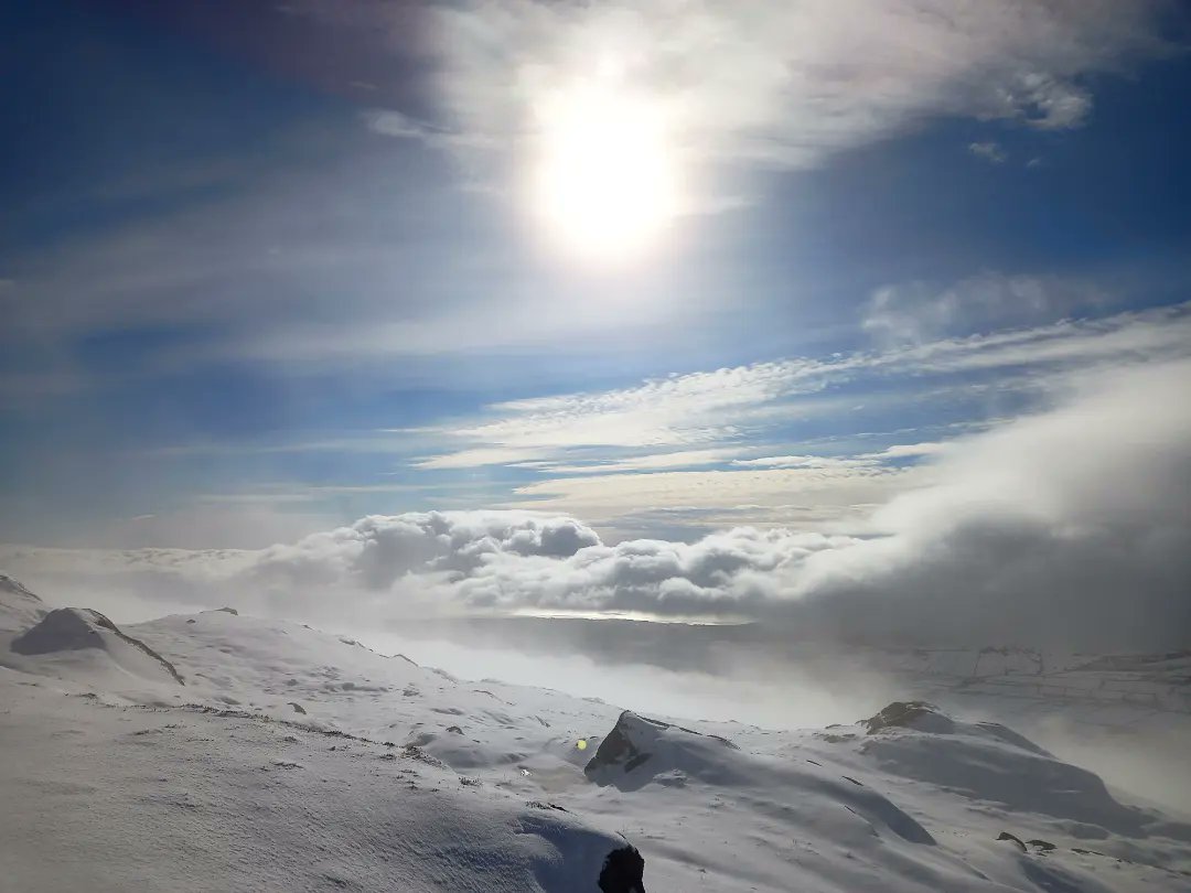 The best snow day 😍
<a href="/DiscoverIreland/">Discover Ireland</a> <a href="/CarlingfordIRE/">Carlingford Lough</a>  <a href="/VisitCford/">VisitCarlingford</a> <a href="/Failte_Ireland/">Fáilte Ireland</a>
#cooleymountains #lovewhereilive