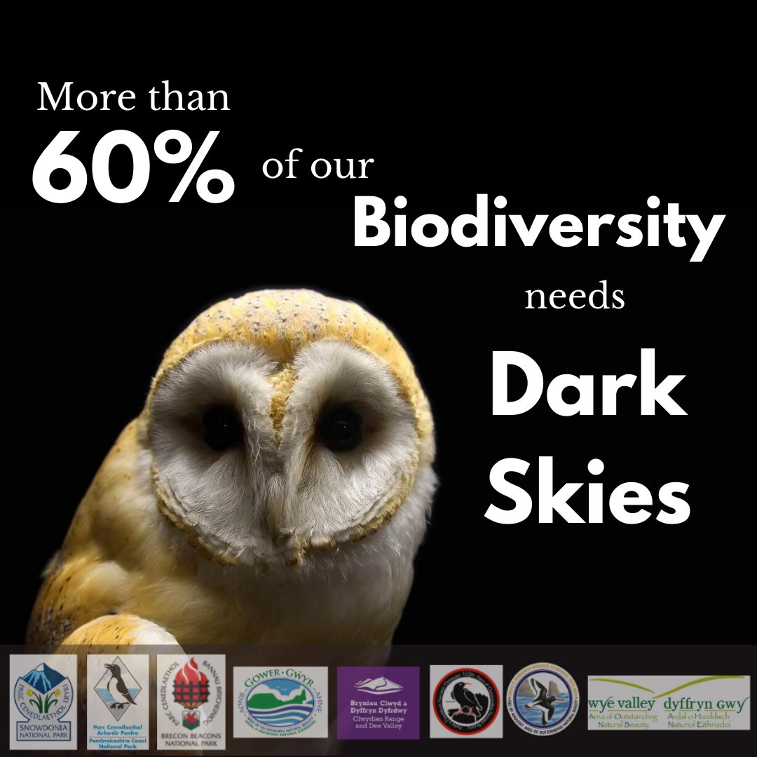 Did you know?🤔 More than 60% of our biodiversity depends on dark skies to survive 🦉 Find out how switching your lights at home could help save our wildlife: darksky.org/.../lighting-f… #WelshDarkSkiesWeek #SaveOurSkies @IDADarkSky