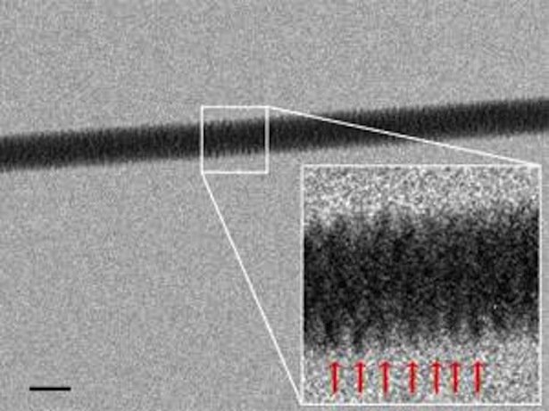 You may have never seen DNA imaged with an electron microscope, so here it is [source: bit.ly/2yd7EB8]