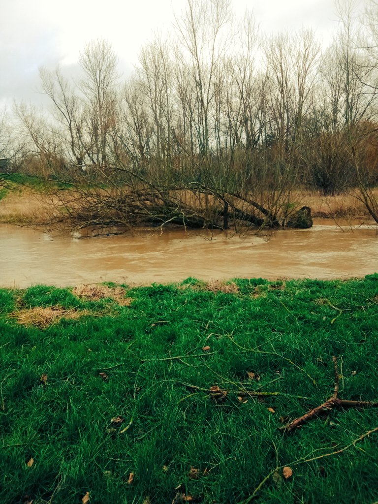 #StormEunice #FallenTrees #Flooding #MiltonKeynes #WoughtonPark