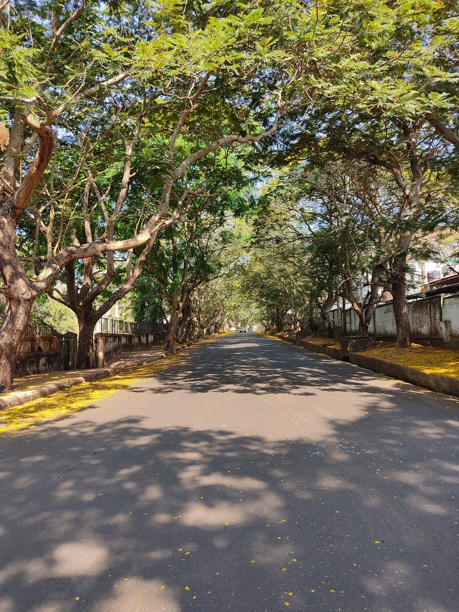 jeffykurian's tweet photo. #emptyroads say a #story of #theirown https://t.co/ErTIsxlS6Z