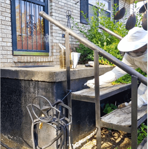 depstechcamera's tweet image. Know more interesting usages you probably never heard about endoscope.

Checking out the hives. 
📷: John

#hivecheck #industrialendoscope #depstech #toolsofthetrade