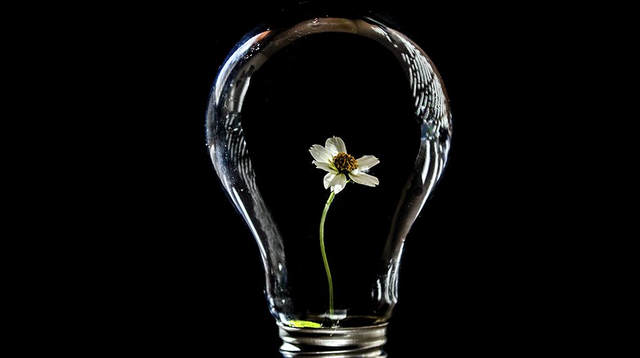 LectaGroup's tweet image. Lecta renews its ISO 50001 certificate. Implementing energy saving measures, reducing emissions and minimizing our impact on the environment: objectives we continue to work toward. bit.ly/3ppykaz
#lecta #lectacommitment #sustainability