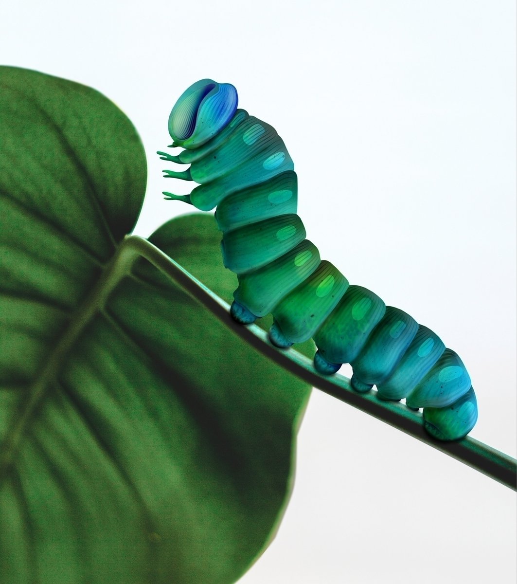 I've always considered myself being a very hungry caterpillar. Munching away on leaves and opportunities. 
instagram.com/reel/CFjiI9ngT… 🦋
