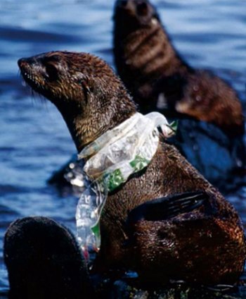 No es una bufanda.
Es ese plástico que "alguien" no recicló.
¿Era tuyo?
Además, ¿sabes que reutilizando 2 toneladas de plástico ahorras 1 de petróleo?
#Ahoravasyloretuiteas