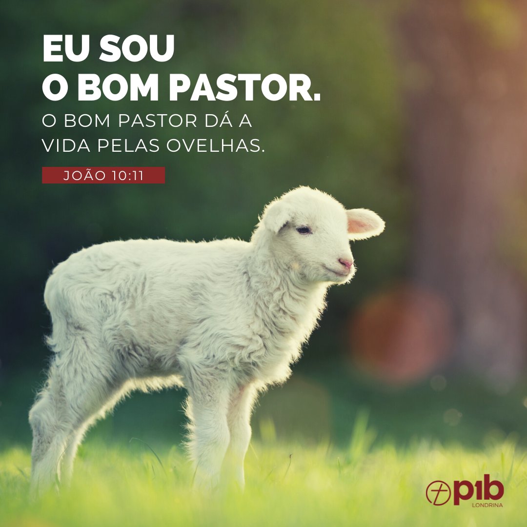 O Bom Pastor