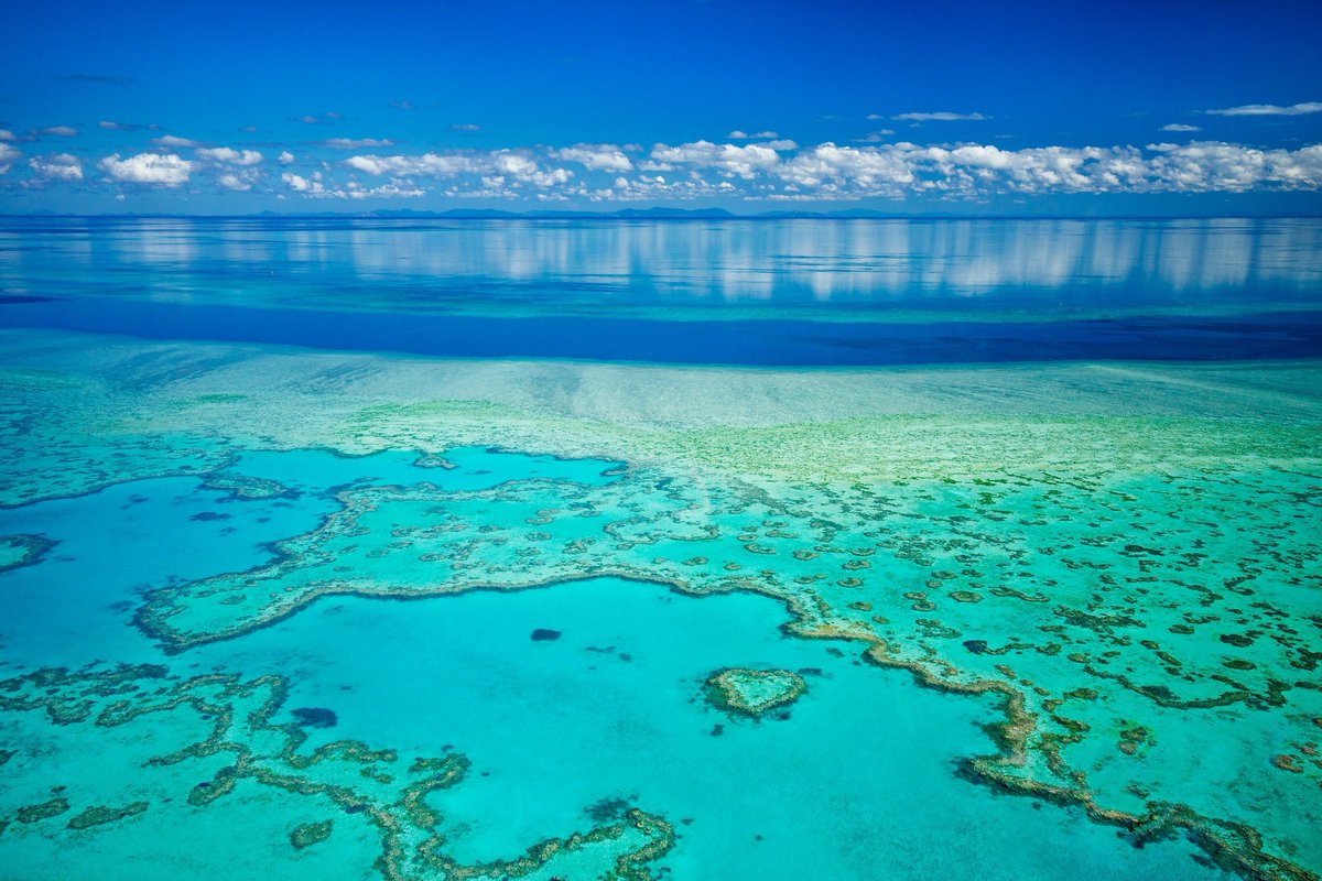 Барьерный риф средство дезинфицирующее. Барьер искрозащиты kfdo-cs-ex1. Барьерный риф обеззараживатель воздуха. Большой коралловый риф в австралии. Большой борьерный лив в австралии.