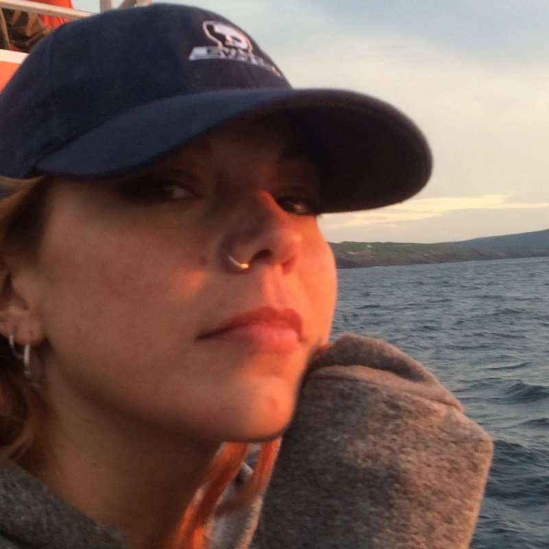VOCM News tweet media