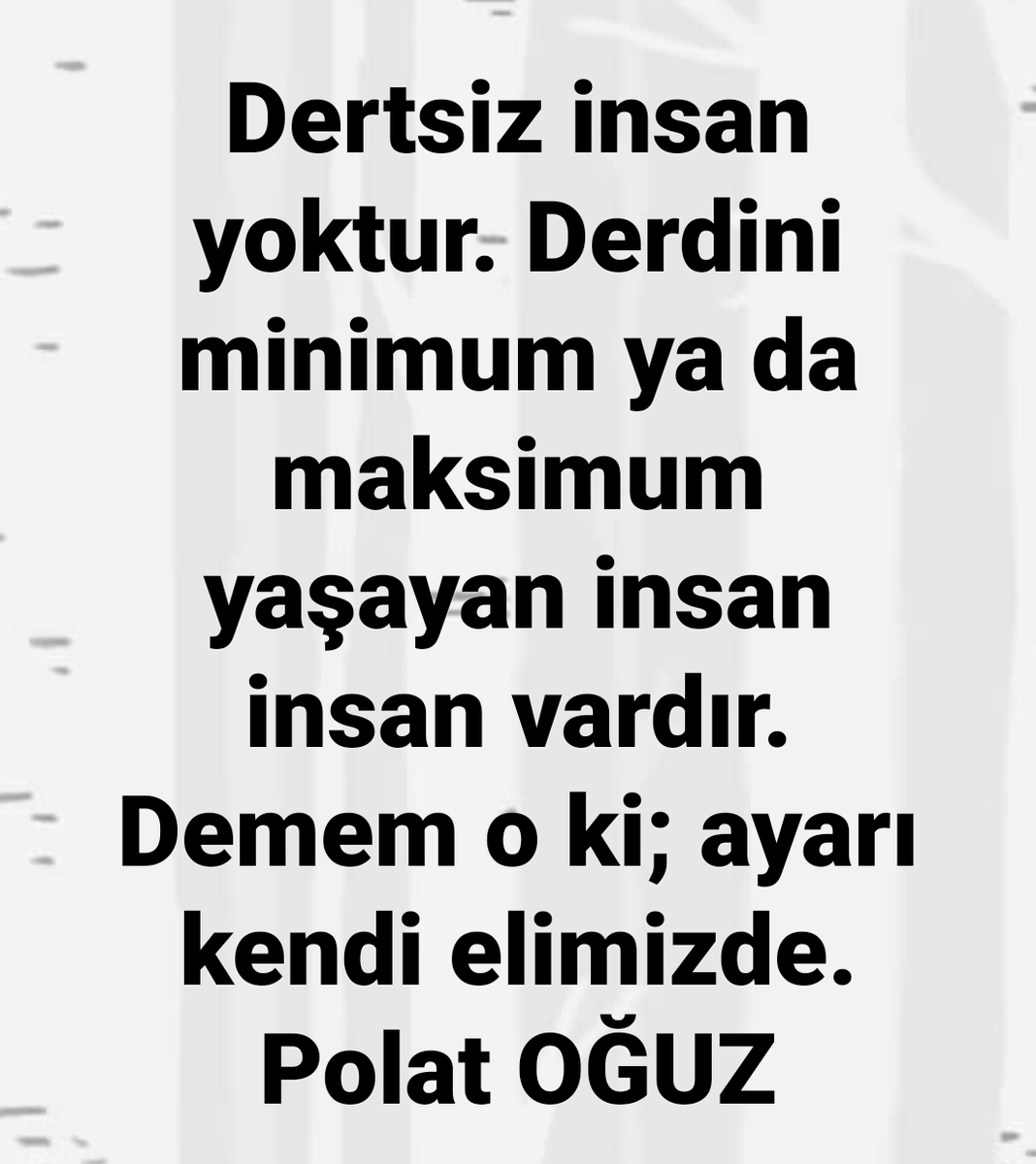 Polat Oğuz (@polatopolat) on Twitter photo 