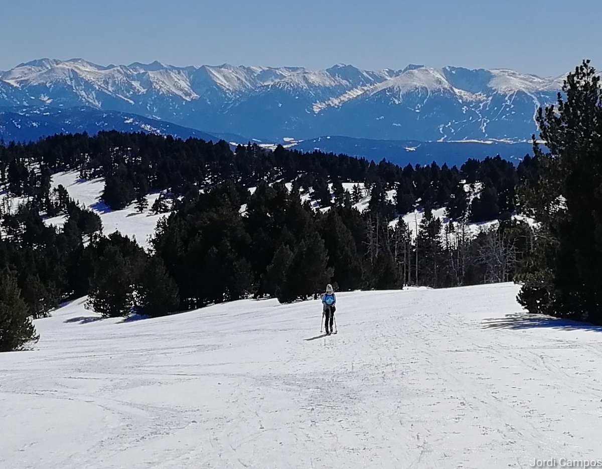 jordicampos's tweet photo. Quatre imatges més d'ahir! Sols enmig d'aquests paisatges! Uns 2-3 cm de neu pols damunt la neu compactada a cotes altes. Vent al cim. Serrat de la Llissa Cremada camí del Pic de Ginèvre. Vam gaudir de valent! S'ens nota a la cara! #Puyvalador #Capcir #Pirineu #esquidemuntanya https://t.co/OuRwsSoF2D