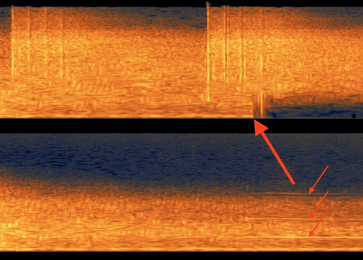 mistercw's tweet photo. @AugustGraham @EliotHiggins @bellingcat @foodz I went back to check 1 more thing in the spectrogram - the explosion cutting off as spotted by @AugustGraham. The big arrow shows the v abrupt end of the matching material. The smaller arrows show the voices (horizontal lines indicate pitched sounds), in the M72A5 video only. https://t.co/L95YvoDHiS