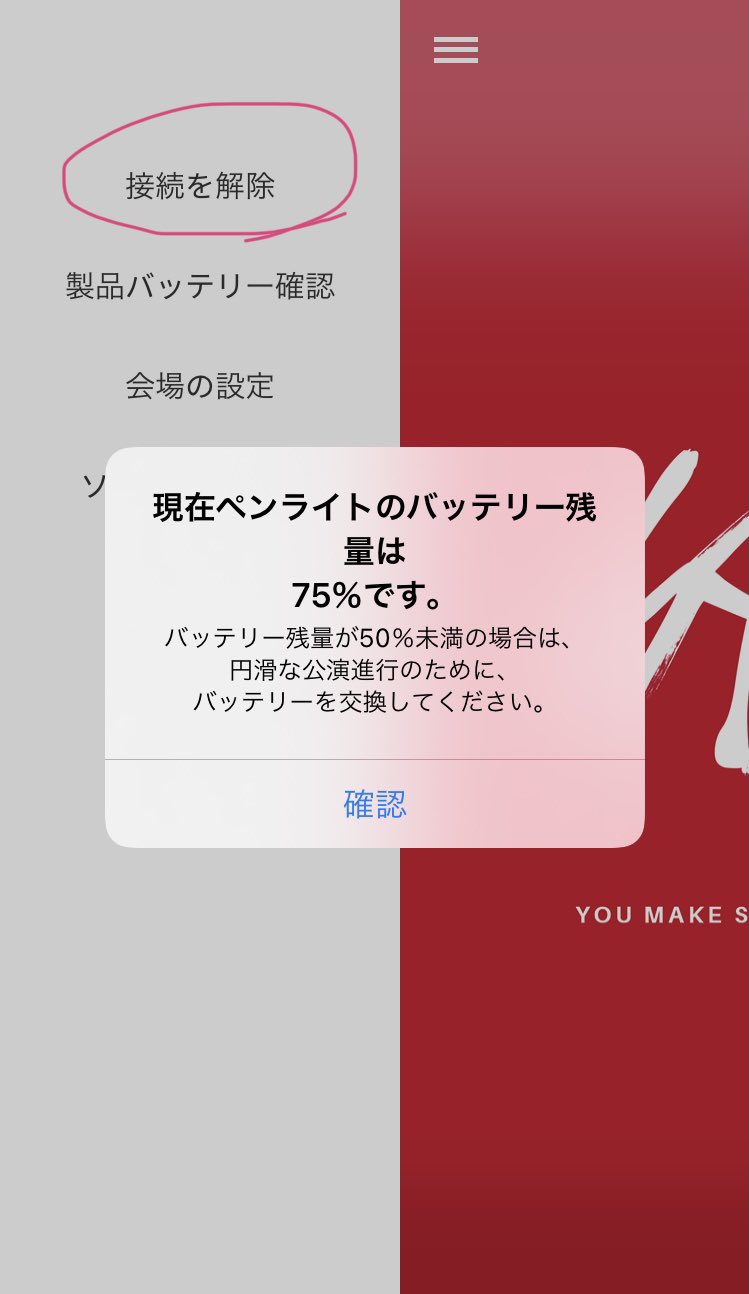 StrayKids スキズ ペンライト アプリ接続確認済み fajasbela.com