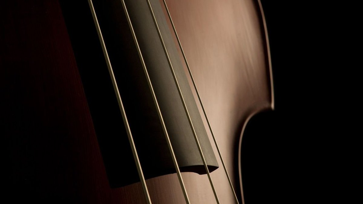 CICLO DE CONCIERTOS C.O.M. ”TOMÁS BOTE LAVADO”. TOTEM ENSEMBLE (cuerdas)
Viernes 11 de marzo a las 20:30 horas. 
Teatro Carolina Coronado. ENTRADA  GRATUITA HASTA COMPLETAR AFORO.