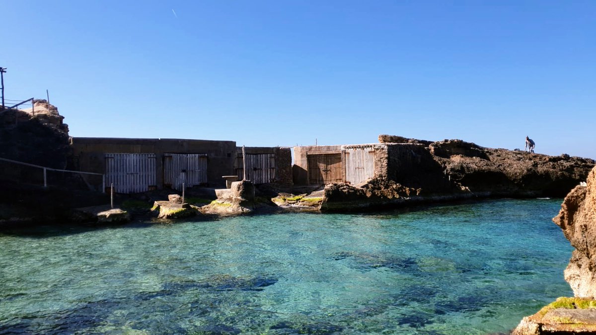 Foro Marino tweet media