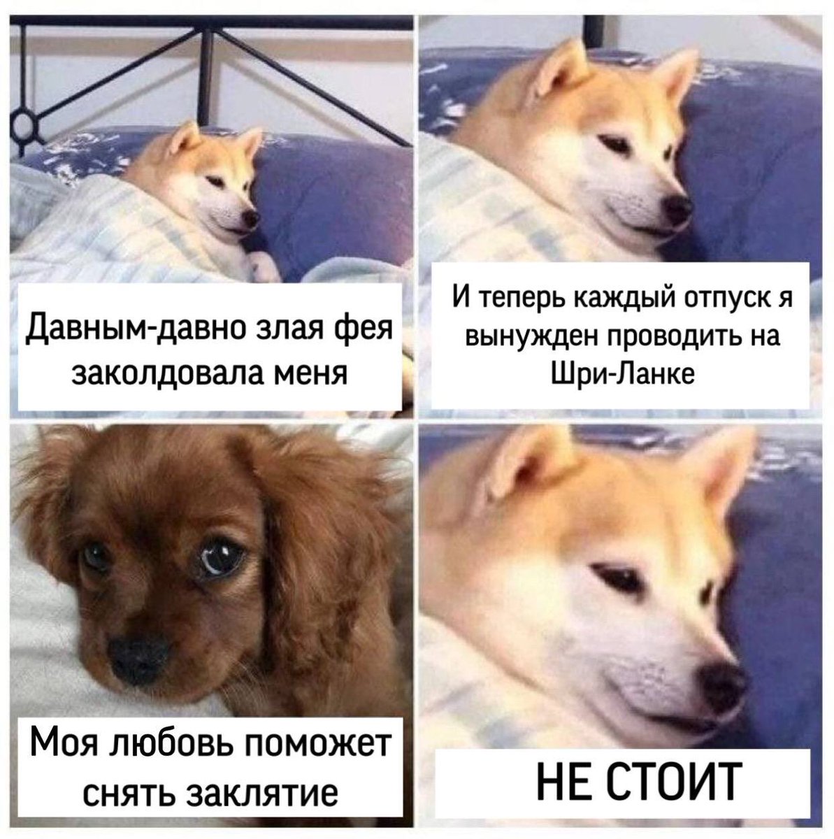 Идеальная магия