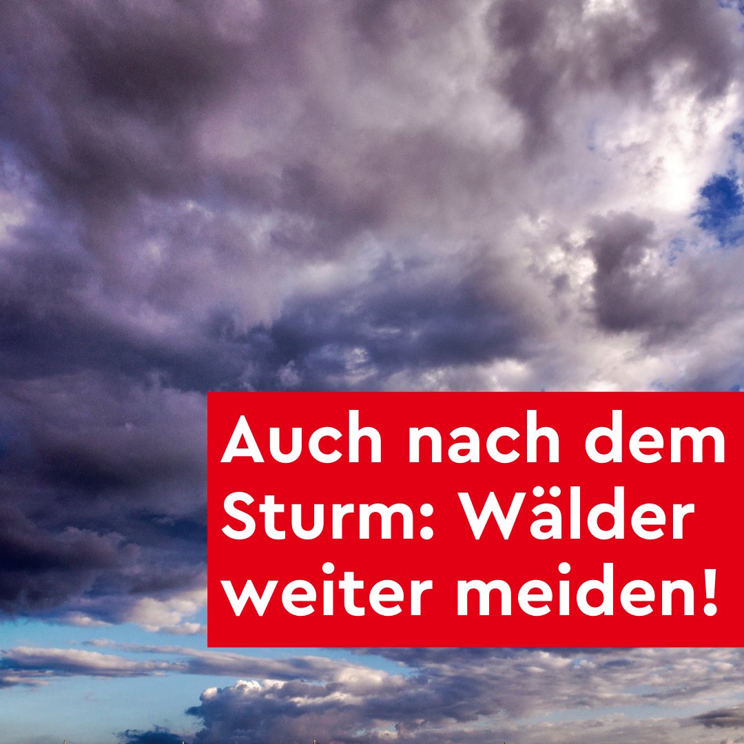 Vorsichtig bleiben: Wälder bitte auch nach Abklingen des #Sturms nicht betreten! Es besteht weiter Gefahr durch umstürzende Bäume und herabfallende Äste. ➡️ bielefeld.de/node/19120 #bielefeld #stadtbielefeld