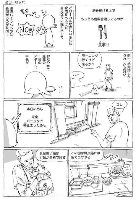 海外紳士の路上の猫めし。 