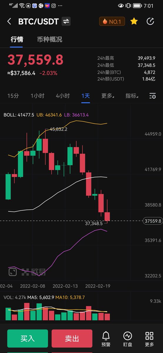 bitcat14's tweet image. it will go$36,000