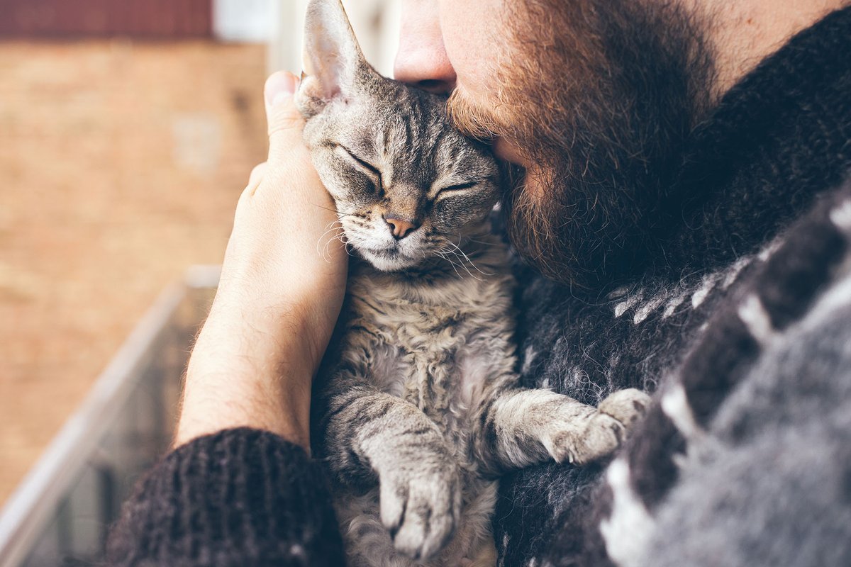 Musidn7's tweet photo. #animali #animali #natura #natura #animal #love #cani #dog #pet #pets #cane #gatti #amore #italia #gatto #instagram #cat #animallovers #dogs #italy #instagood #cats #photography #cute #wildlife #animalsofinstagram #naturephotography #picoftheday #puppy https://t.co/wAmcBe55xH