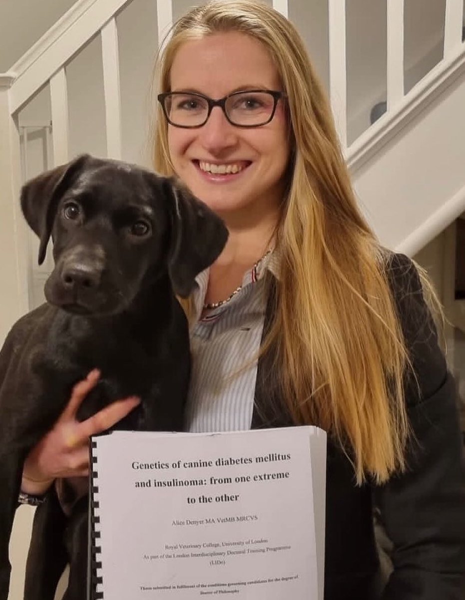 Canine Diabetes Genetics Partnership (@thecdgp) on Twitter photo We are delighted to announce that <a href="/DenyerAlice/">Alice Denyer</a>, CDGP PhD student of the past 4 years, has successfully defended her thesis and passed her viva! 👩🏼🎓 With thanks to @Dechra, <a href="/RoyalVetCollege/">Royal Veterinary College (RVC)</a> and all CDGP members for their support and expertise We are delighted to announce that <a href="/DenyerAlice/">Alice Denyer</a>, CDGP PhD student of the past 4 years, has successfully defended her thesis and passed her viva! 👩🏼🎓 With thanks to @Dechra, <a href="/RoyalVetCollege/">Royal Veterinary College (RVC)</a> and all CDGP members for their support and expertise