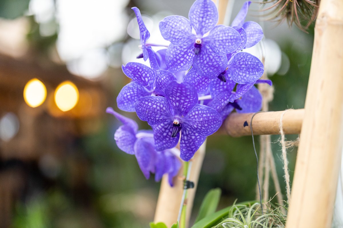 Just like last year, we will make sure that OID can take place in a safe way. We ask our visitors to plan a visit to the relevant companies in advance, so that we can control the number of people attending. We will let you know in time when it is possible to register!