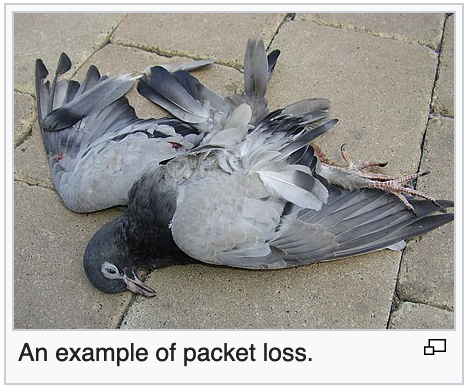 Fatih Kayran tweet media