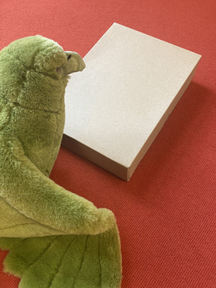 Was ist da denn wohl heute bei uns angekommen? 🤔