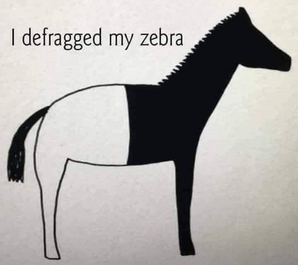 matteastwood's tweet photo. So this is what a defragged zebra looks like … https://t.co/Tq9Sv7feF4