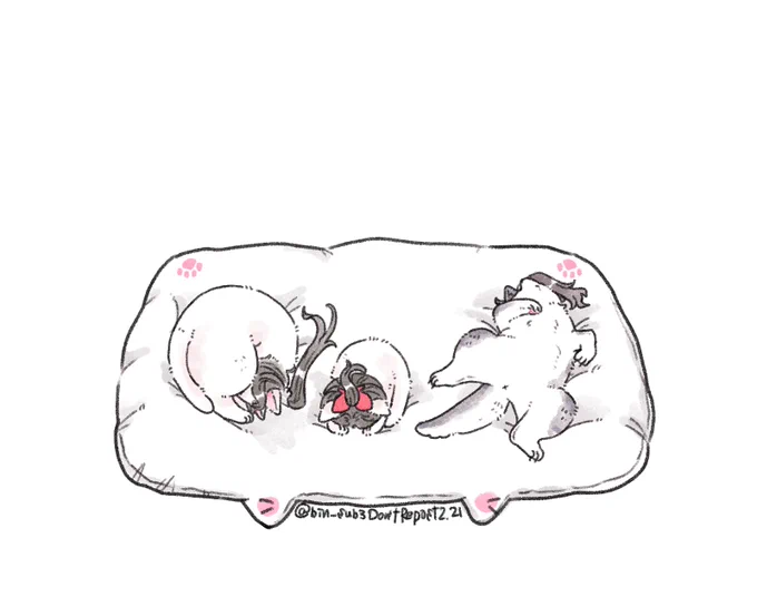 🐈月間。今日は2/21(にゃんにゃんわん)なのでニャンモナイト、ごめん寝、へそ天🐈🐈🐕です 