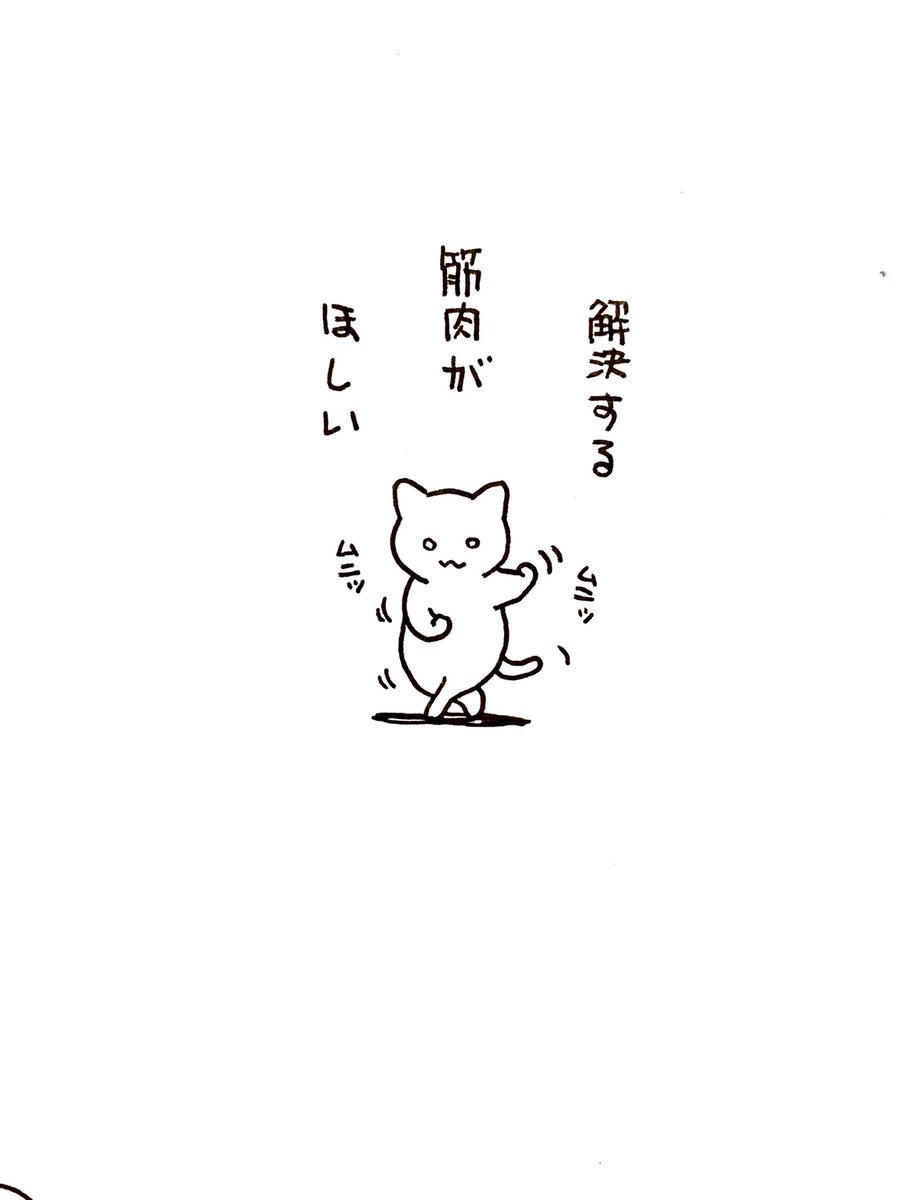 筋肉さえあれば
全てが解決すると聞いたねこ 