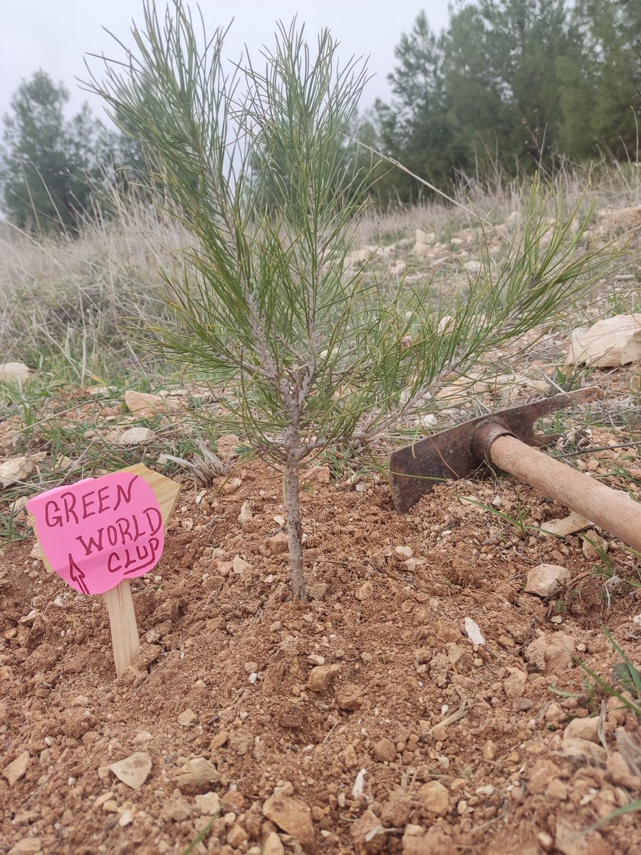 LET'S PLANT TREE 🌱
opensea.io/collection/gre… 👈
🍀buy green world club nfts Let's plant a tree in your name🍀
#nft #NFTCommunity #NFTGiveaway #nftart #NFTdrop #nftcollector #NFTProject #NFTCollection #NFTartist #NFTs #OpenSeaNFT