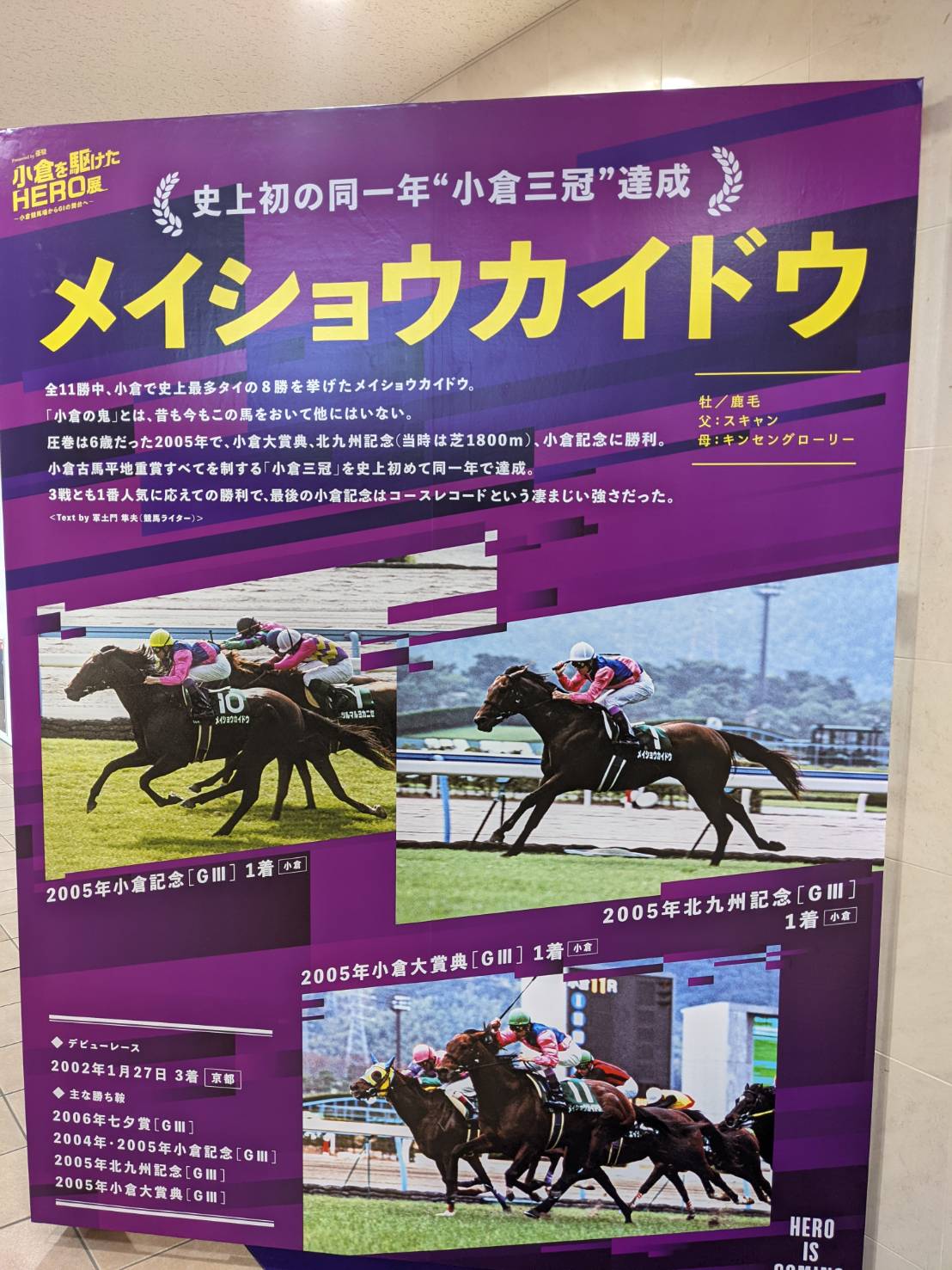 アイドルホース　メイショウカイドウ4体セット 小倉競馬場限定 メイショウカイドウ4体セット