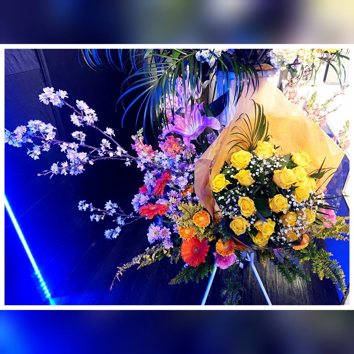 花すい Ueno Hanasui Twitter