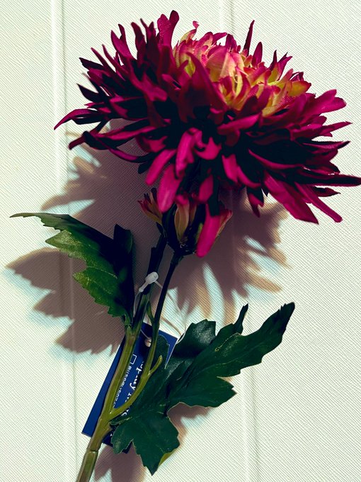 推しが持ってるアイテムを自分も所持したいオタクなので、2.5次元の推しがランダムブロマイドで持っていた造花と同じものを手に入れました(早口) 