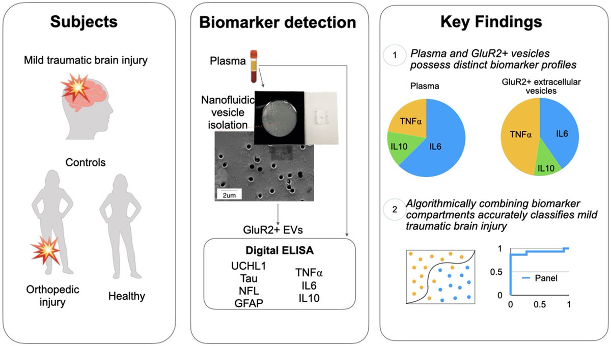 @BrainComms tweet media