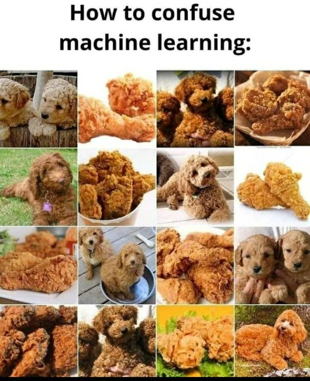 Elitsa Krumova tweet media