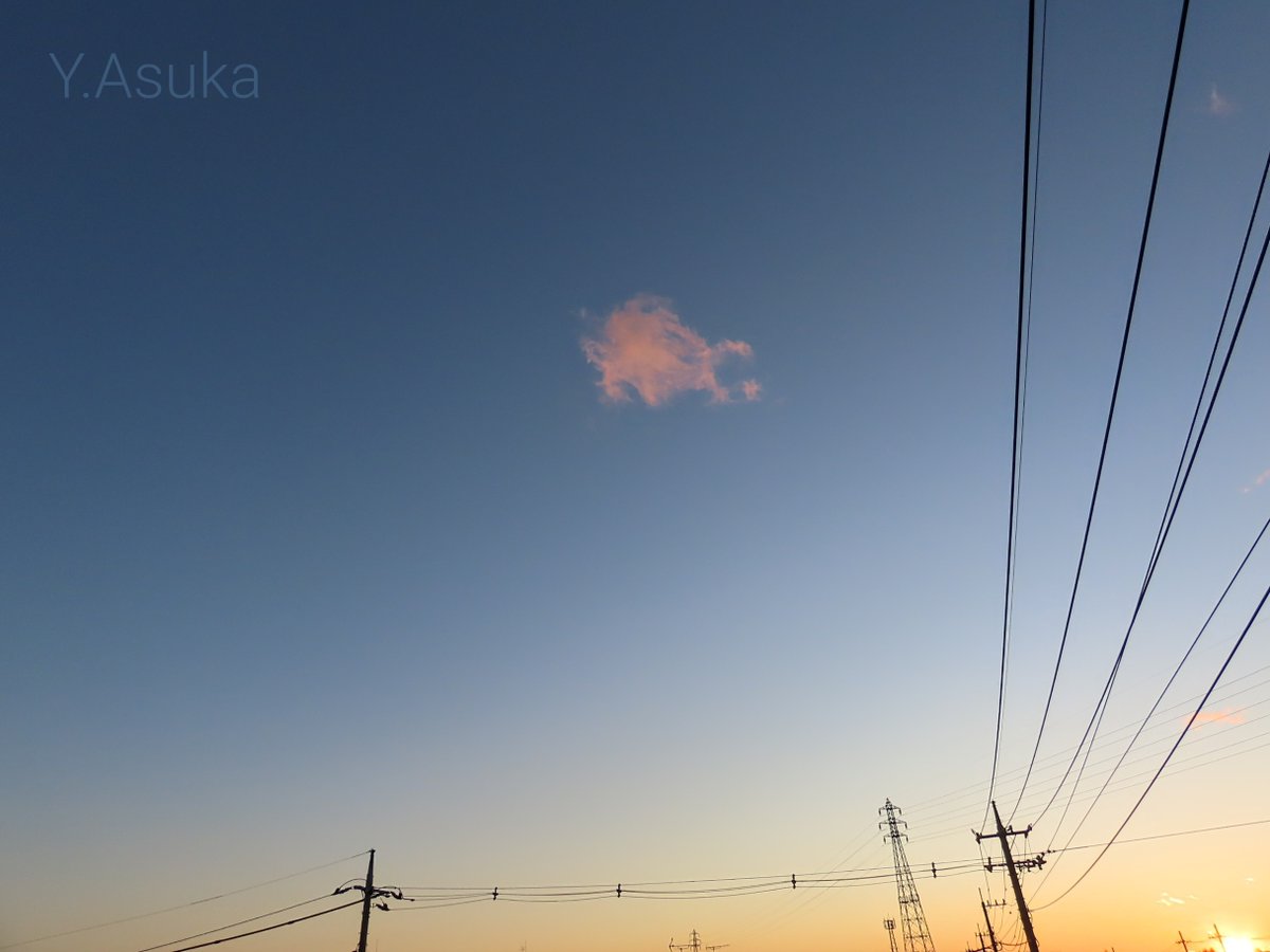 yumeasutw's tweet photo. 茜雲プカプカ❤️
お疲れ様です🏁
猛烈な北西の風がやっと収まった日の入り🌇
#茜雲 がポツンと流れて行きます❤️
東の空は桃色の #ビーナスベルト 💗
#空の名前
#雲の教室
#天気の図鑑 #雲友
#マジックアワー
#ブルーモーメント #sunset
#薄明
#夕空 #夕焼け #鉄塔 #電柱 #電線
#a2022 #a0221 #a202202 https://t.co/2kNqeBo41u