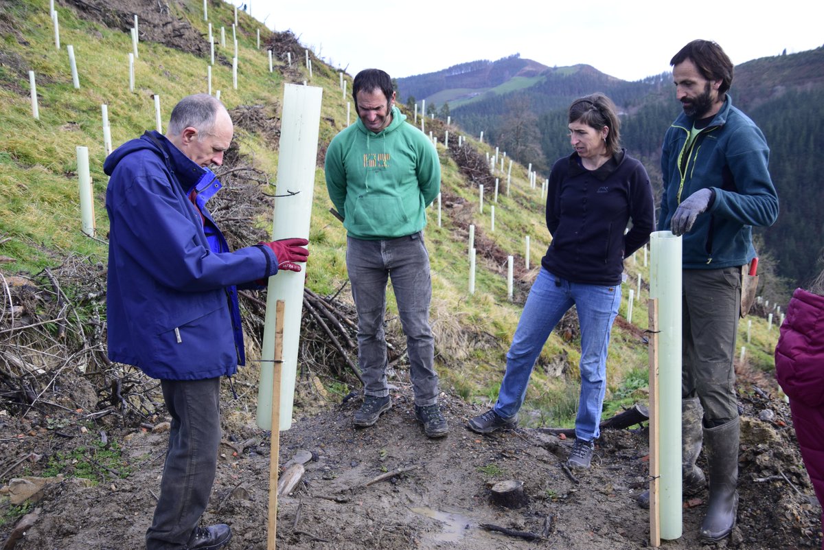 berriatuaudala's tweet photo. ⛰️Legarmendi baso publikoan azken arbolak sartu ditugu.

🌱Landaketa amaitu dugu!

ℹ️Eusko Jaurlaritzak 75.000 euroko diru laguntza eman digu proiektua gauzatu ahal izateko.

@hostozabal @LeakoHitza #Berriatua #Berritxu #Auzolana #Basobiziak https://t.co/QZQBKoF51P