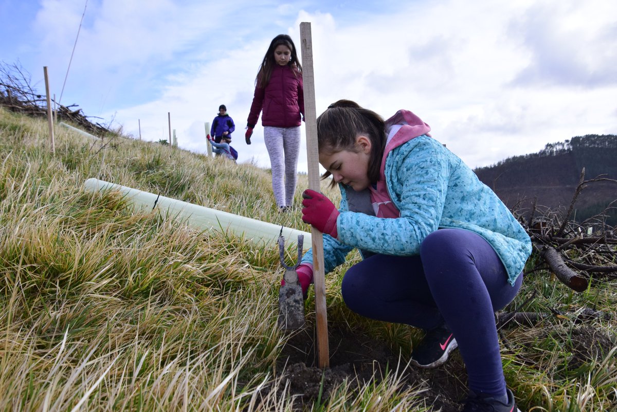 berriatuaudala's tweet photo. ⛰️Legarmendi baso publikoan azken arbolak sartu ditugu.

🌱Landaketa amaitu dugu!

ℹ️Eusko Jaurlaritzak 75.000 euroko diru laguntza eman digu proiektua gauzatu ahal izateko.

@hostozabal @LeakoHitza #Berriatua #Berritxu #Auzolana #Basobiziak https://t.co/QZQBKoF51P